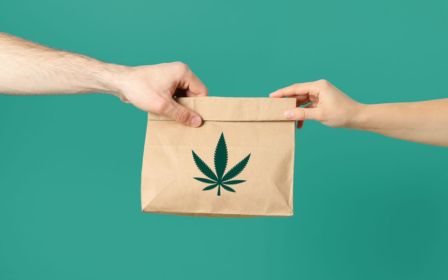 Calgary weed delivery blog, Cannabis